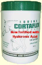 Equine Cortaflex